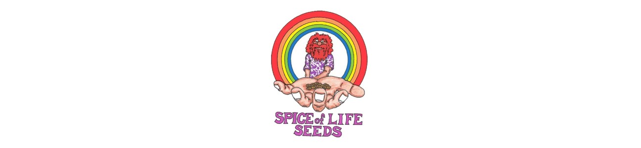Spice Of Life
