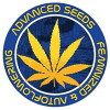 Advanced Seeds feminizadas | Comprar Advanced Seeds feminizadas baratas