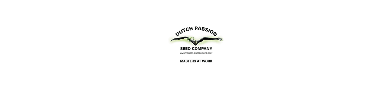 DUTCH PASSION