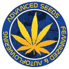 Advanced Seeds autoflowering | Buy Marijuana Seeds