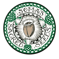 SOMA SEEDS