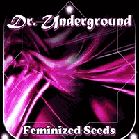 DR. UNDERGROUND