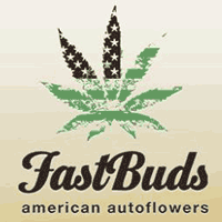 FAST BUDS