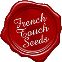 FRENCH TOUCH