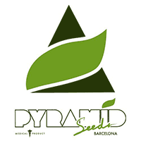 PYRAMID SEEDS