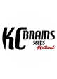 KC BRAINS