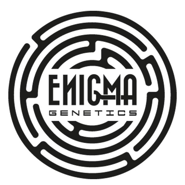 Enigma Genetics
