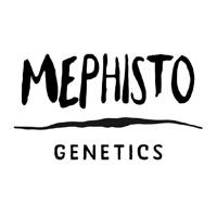 Mephisto Genetics