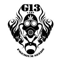 G13 LABS