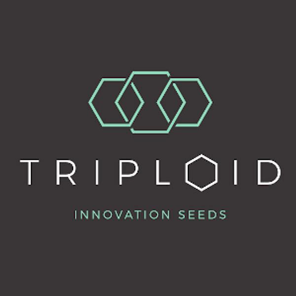 Triploid Genetics