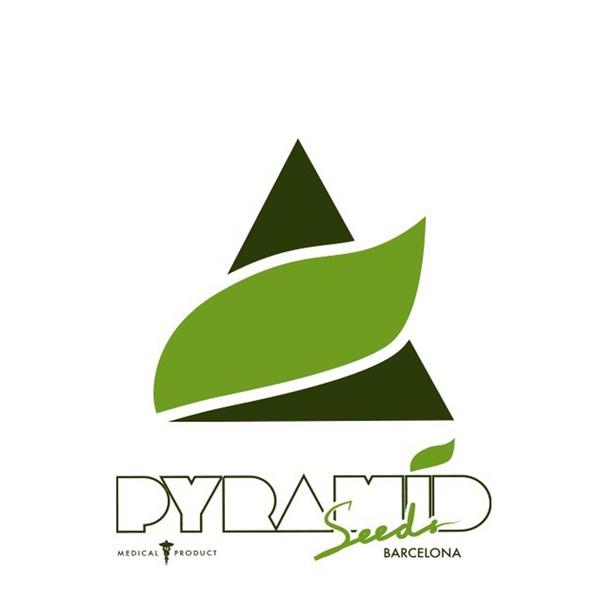 Pyramid Seeds Regular