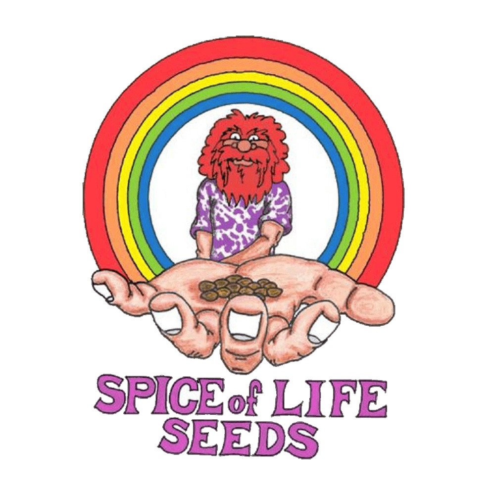 Spice Of Life