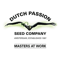 DUTCH PASSION