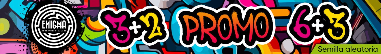 banner enigma mayo 2026