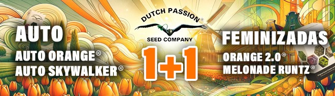 Dutch Passion