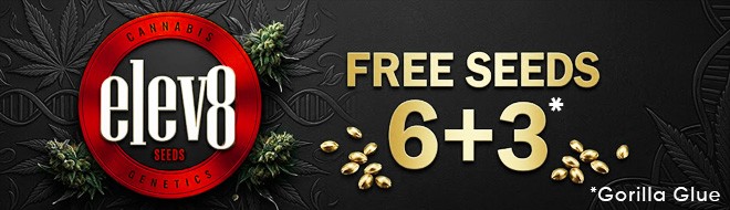 Elev8 Seeds