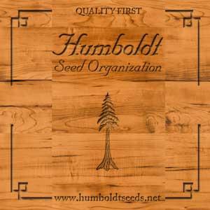 Humboldt Seeds Organization