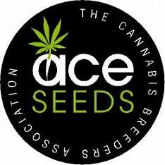 Ace Seeds