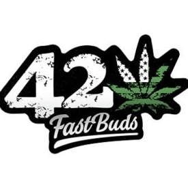 Fast Buds