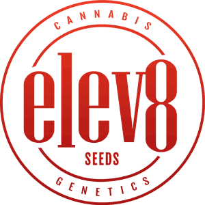 Elev8