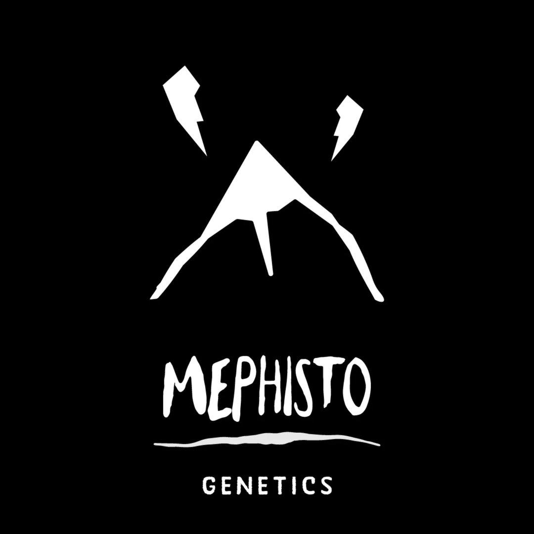 Mephisto Genetics