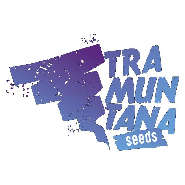 Tramuntana Seeds