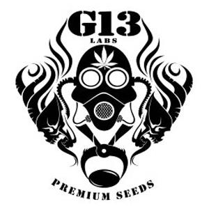 G13 LABS