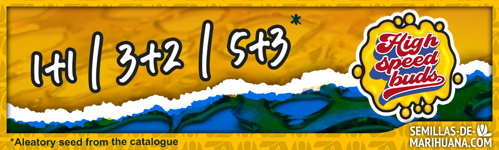 Banner High Speed Buds Octubre 2025