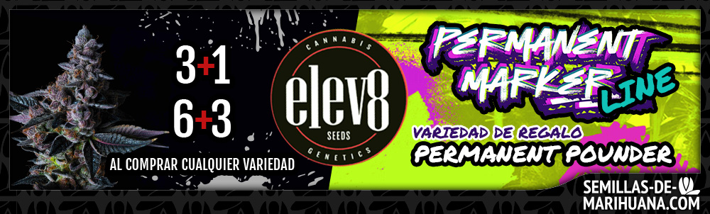 Banner Elev8 Seeds Octubre 2025