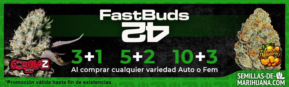 Fast Buds Banner